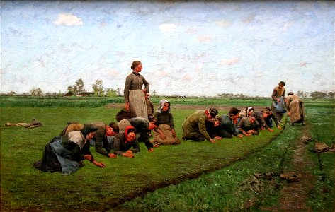 Emile Claus - Vlaswieden in Vlaanderen