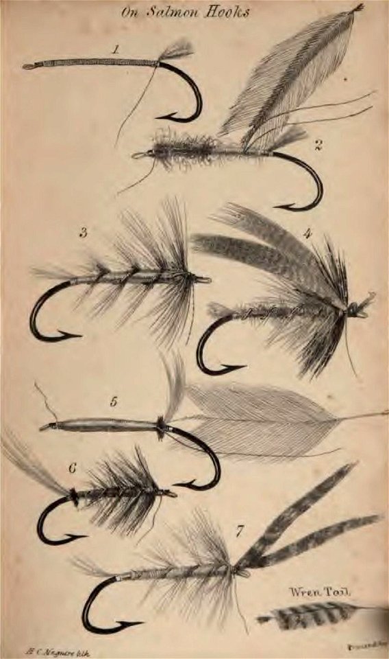 BlackerOnSalmonHook(1842)