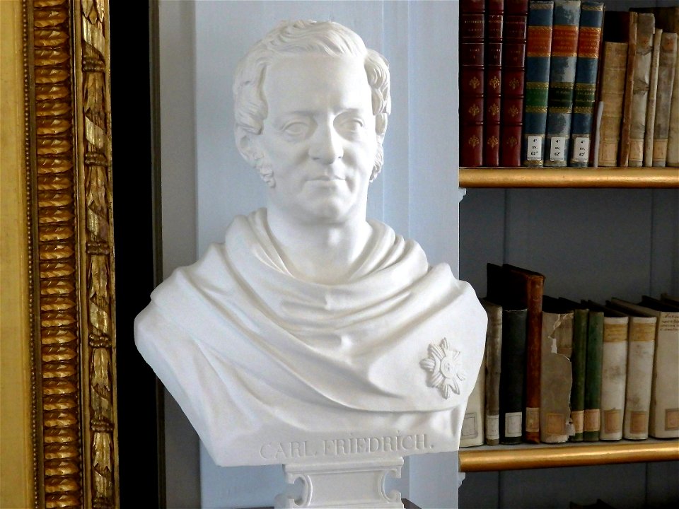 Carl Friedrich SWE
