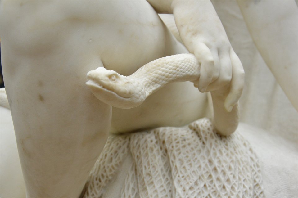Carl Cauer - Hexe (Witch) - 1874 (snake detail)