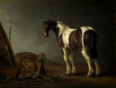 Abraham van Calraet - horse with a saddle. Free illustration for personal and commercial use.