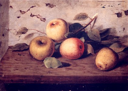 Bodegón de manzanas - José Jiménez Aranda - MBACO