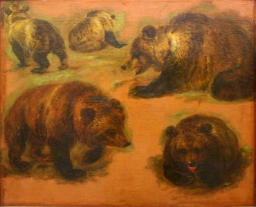 Boel-ours