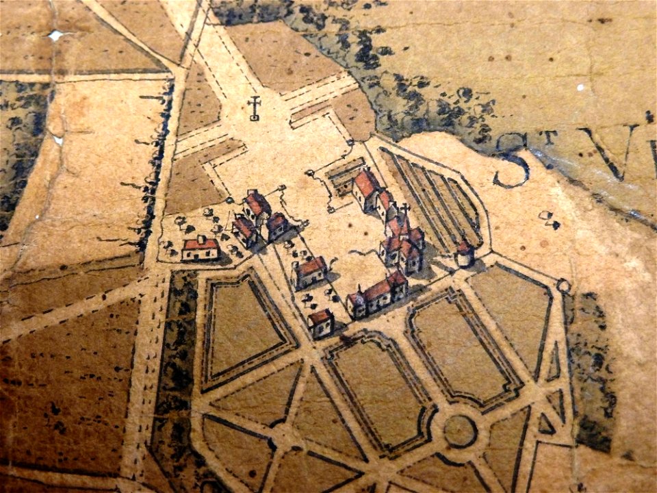 Carte forêt 376
