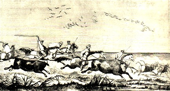 Charles Scribneranaco 03