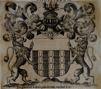 Blason Châtillon 04542