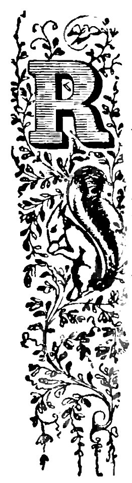 Commedia(Inferno) Lana, capolettera 'R' pag141.