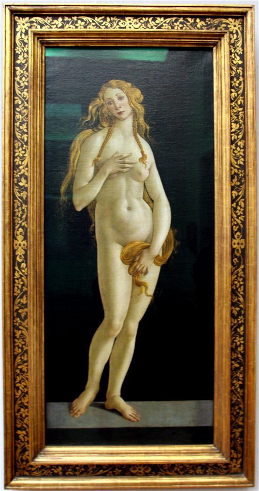 Sandro botticelli, venere su sfondo scuro, 01