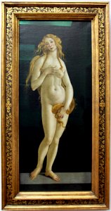 Sandro botticelli, venere su sfondo scuro, 01