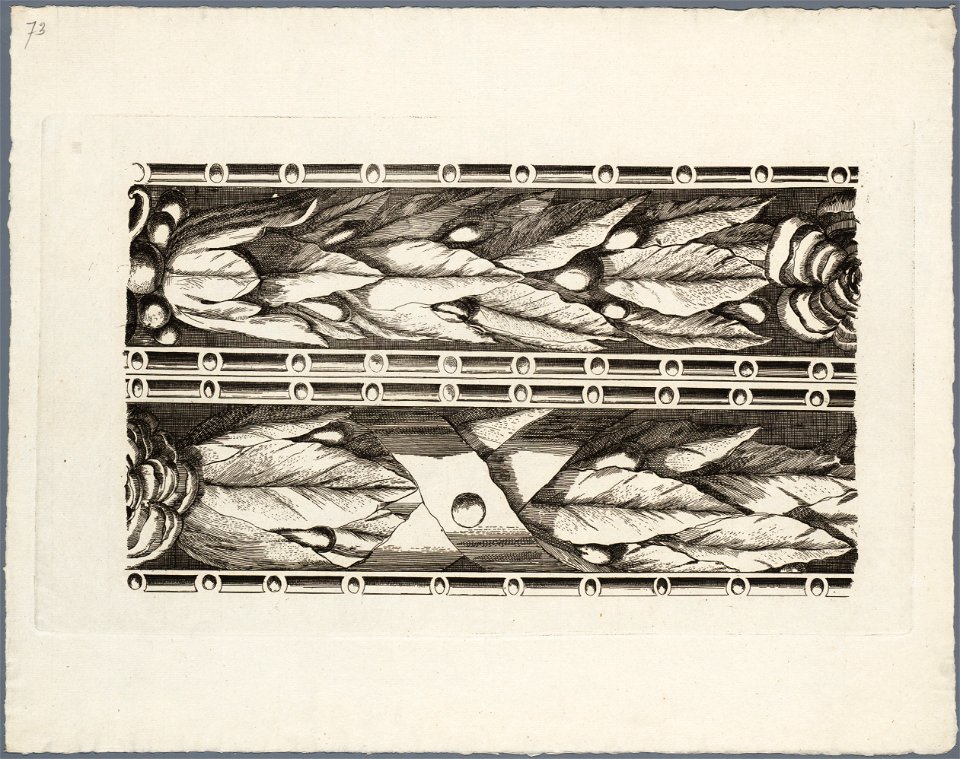 Gedeelte van de sierrand om de kaart van Haarlem door Romeyn de Hooghe met de voorstelling van bloem- en bladmotieven afbeelding door Romeyn de Hooghe. - Haarlem s.n, 1689. - 1 p, NL-HlmNHA 53008962 M