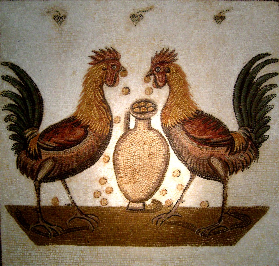 Deux coqs II Neapolis