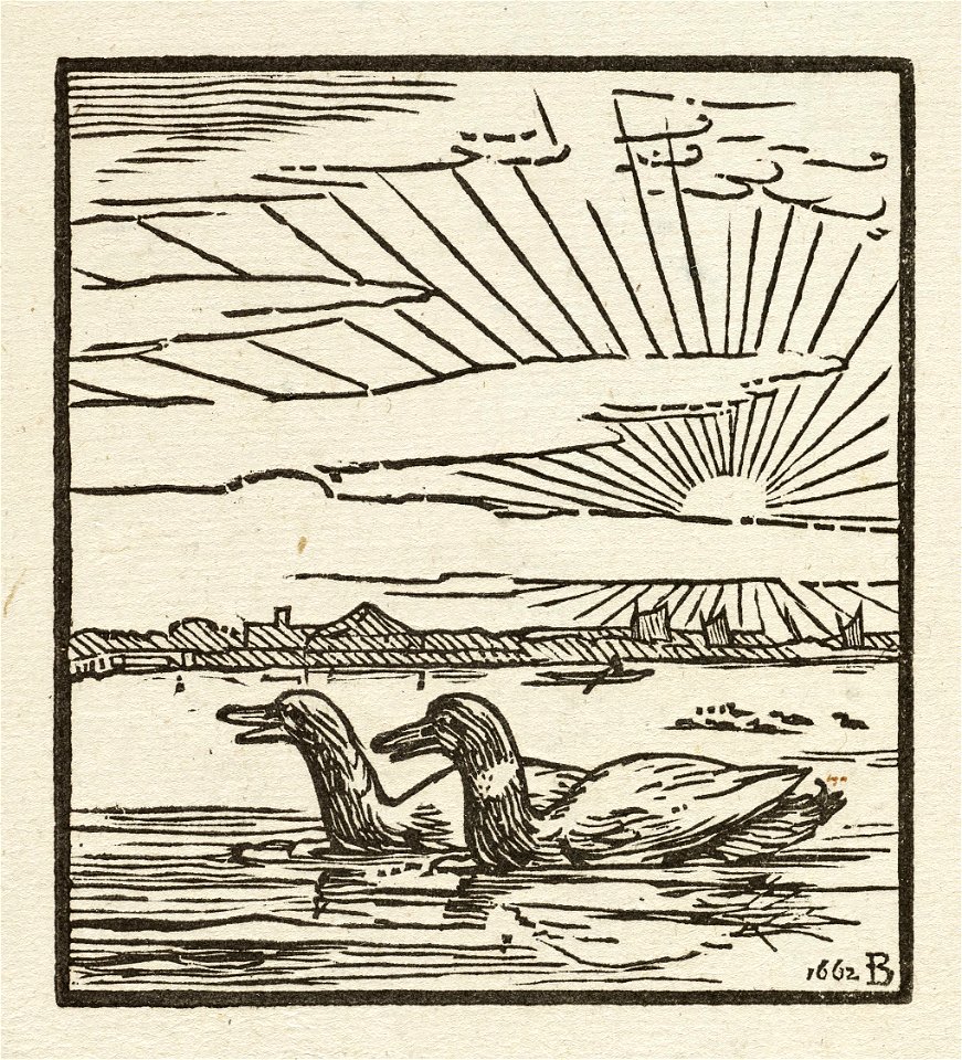 Een eenden in het water bij een opgaande zon met het profiel van een stad op de achtergrond. NL-HlmNHA 1477 53010247