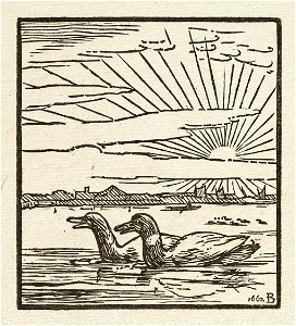 Een eenden in het water bij een opgaande zon met het profiel van een stad op de achtergrond. NL-HlmNHA 1477 53010247