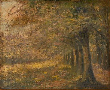 Charles Poupaert.Boszicht