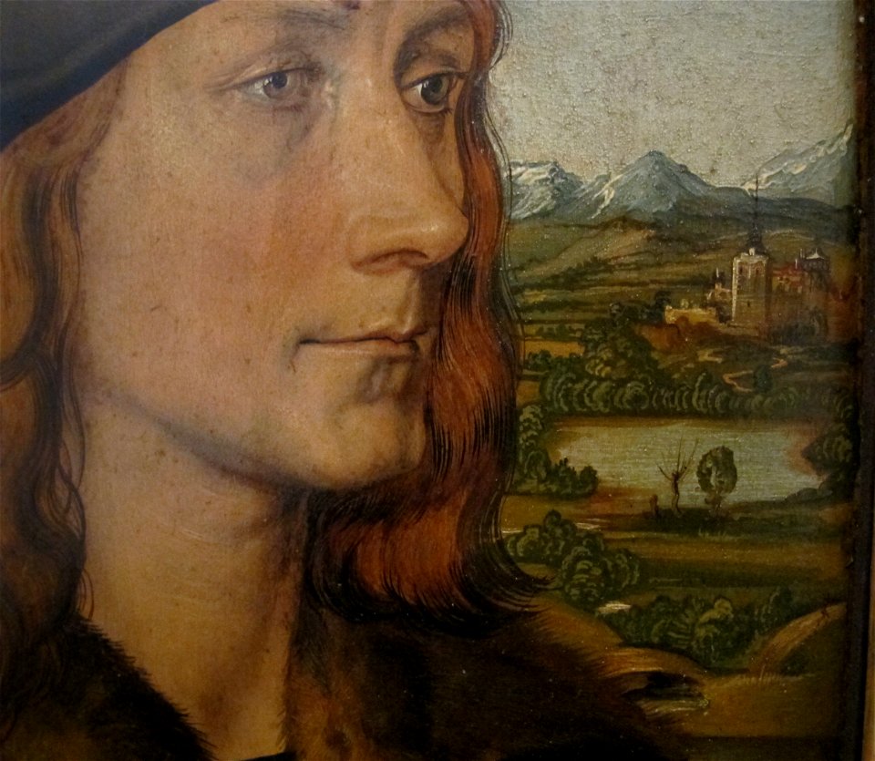Dürer, ritratto di hans tucher, 1499