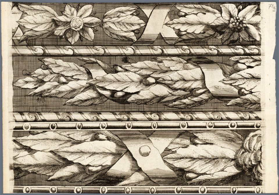 Gedeelte van de sierrand om de kaart van Haarlem door Romeyn de Hooghe met de voorstelling van bloem- en bladmotieven afbeelding door Romeyn de Hooghe. - Haarlem s.n, 1689. - 1 p, NL-HlmNHA 53008963