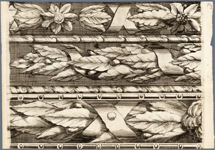 Gedeelte van de sierrand om de kaart van Haarlem door Romeyn de Hooghe met de voorstelling van bloem- en bladmotieven afbeelding door Romeyn de Hooghe. - Haarlem s.n, 1689. - 1 p, NL-HlmNHA 53008963