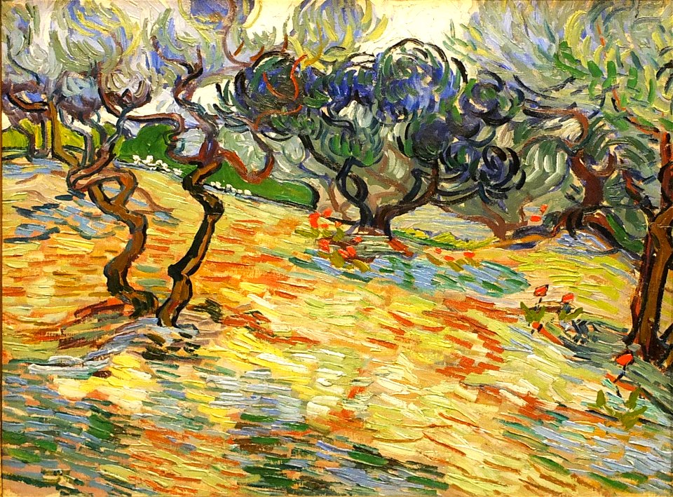 Edinburgh NGS van Gogh Olive trees