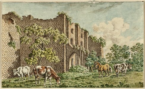Gezicht op de ruïne van Brederode met koeien en een paard op de voorgrond. NL-HlmNHA 1477 53012157