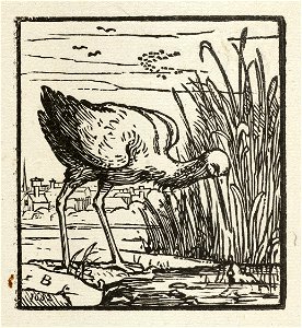 Een ooievaar bij een water met riet, die op het punt staat een kikker te vangen, NL-HlmNHA 1477 53010244