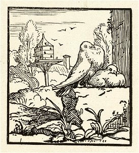 Een koppeltje duiven op een muur. In de achtergrond een duiventil. NL-HlmNHA 1477 53010243