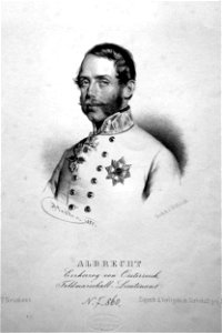 Erzherzog Albrecht Stadler Litho 02