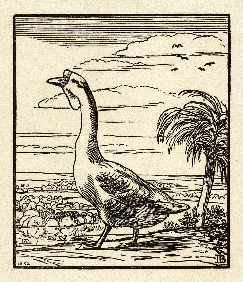 Een gans. Houtsnede rechtsonder gesigneerd, linksonder gedateerd. NL-HlmNHA 1477 53010236
