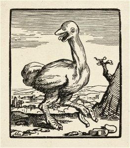Een struisvogel die een hoefijzer optilt met de linkerpoot. Houtsnede rechtsonder gesigneerd , linksonder gedateerd. NL-HlmNHA 1477 53010234