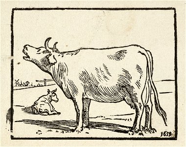 Een staande loeiende koe in een landschap met links in de achtergrond een liggende koe. NL-HlmNHA 1477 53010249