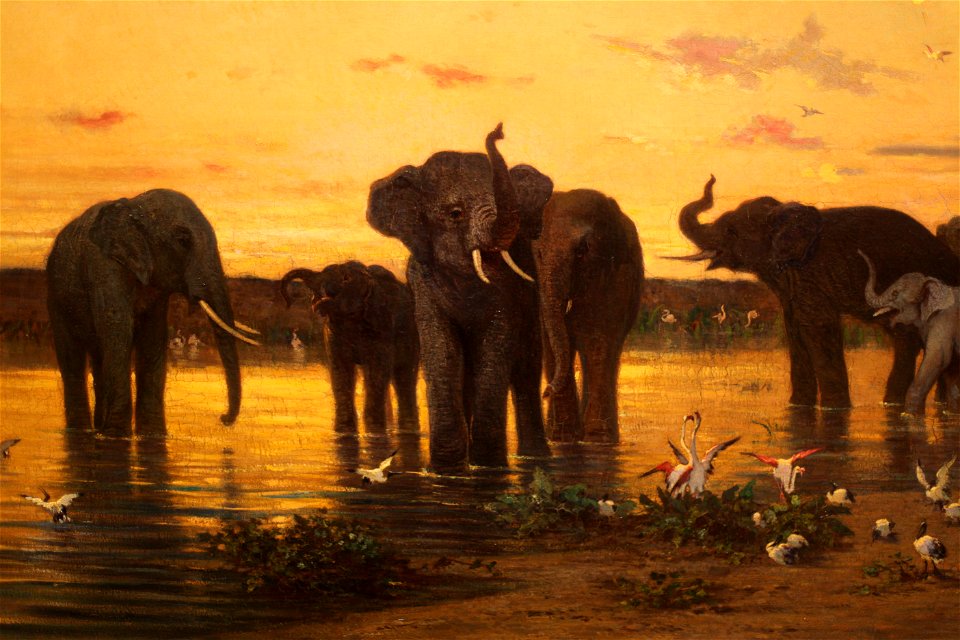 Elephants d Afrique-Charles-Emile de Tournemine-IMG 8138