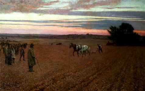 GF Carline Ploughing Match