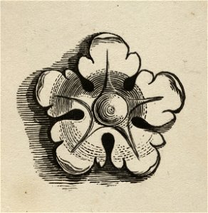 Gestileerde roos of stokroos. NL-HlmNHA 1477 53010274