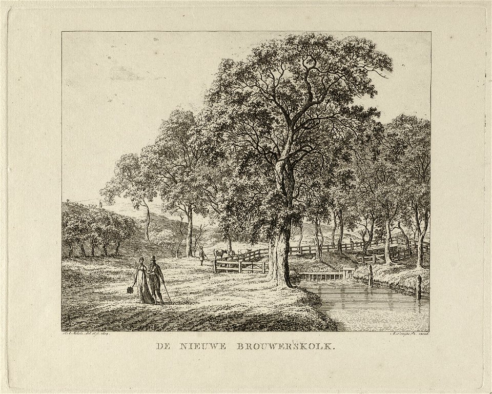 Gezicht op De Nieuwe Brouwerskolk. NL-HlmNHA 1477 53010884