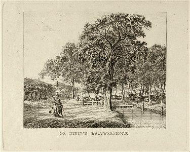 Gezicht op De Nieuwe Brouwerskolk. NL-HlmNHA 1477 53010884
