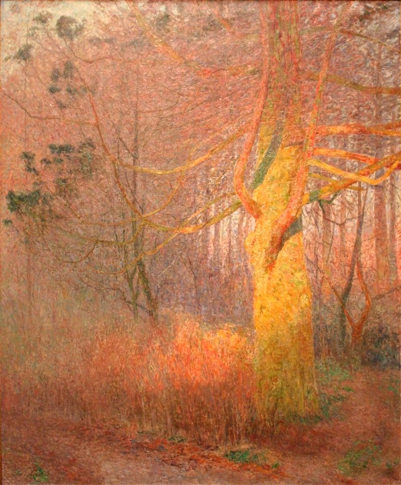 Emile Claus - Zonnige boom