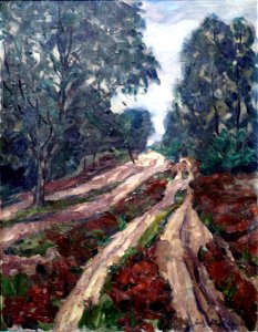 Flebbe Weg durch die Heide