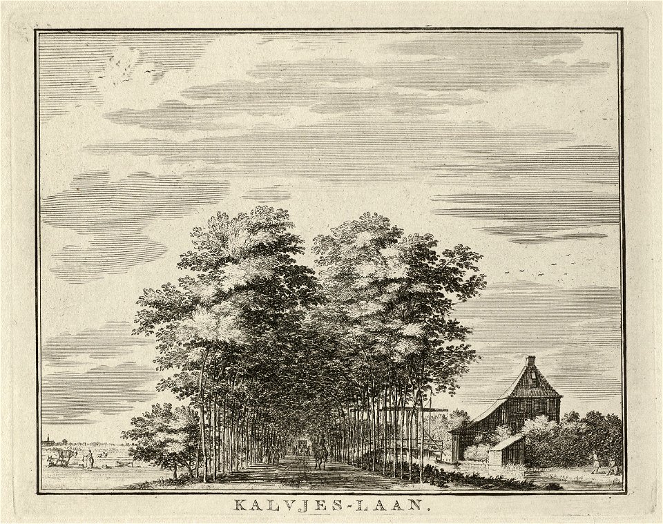 Gezicht in de Kalfjeslaan. NL-HlmNHA 1477 53011913