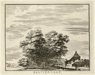 Gezicht in de Kalfjeslaan. NL-HlmNHA 1477 53011913