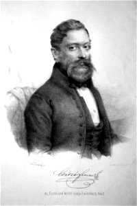 Franz Csaszar Litho