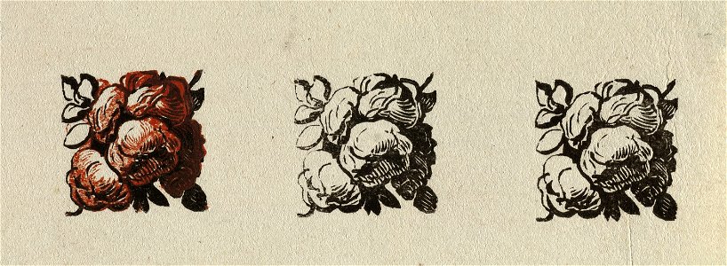 Florale compositie met drie rozen, ieder apart. Houtsnede. NL-HlmNHA 1477 53010271
