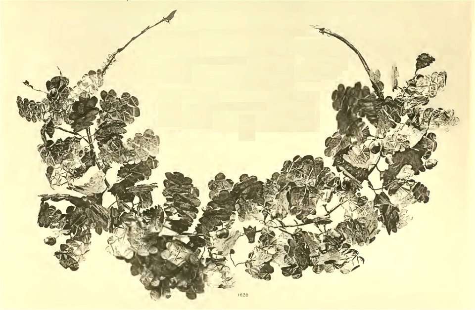 Gold wreath, British Museum No. 1628