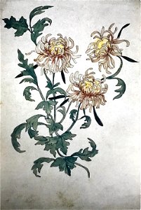 Flowers (Rozanova, 1900s)