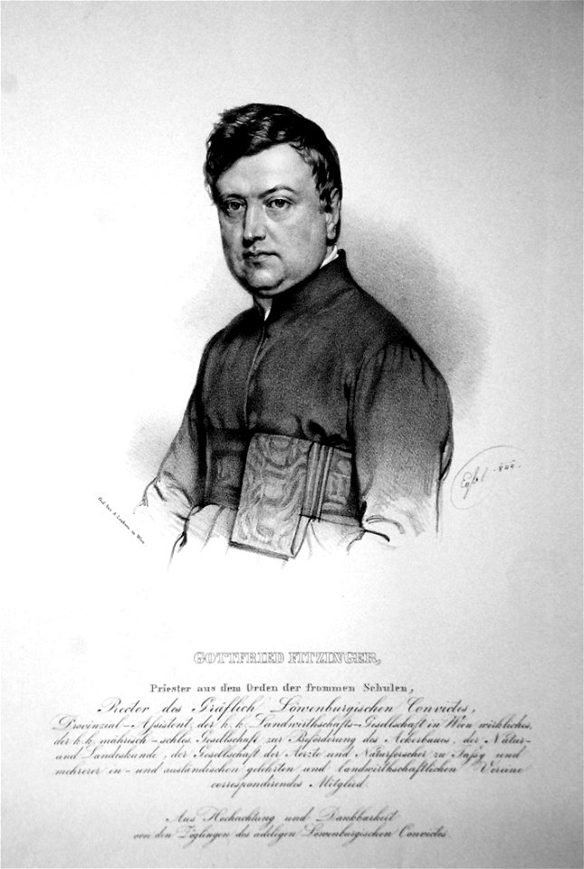 Gottfried Fitzinger Litho