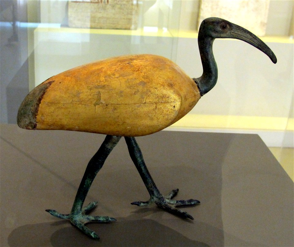 Fine del basso regno-inizio periodo telemaico, bara per ibis, 400-250 ac ca., da hermopolis
