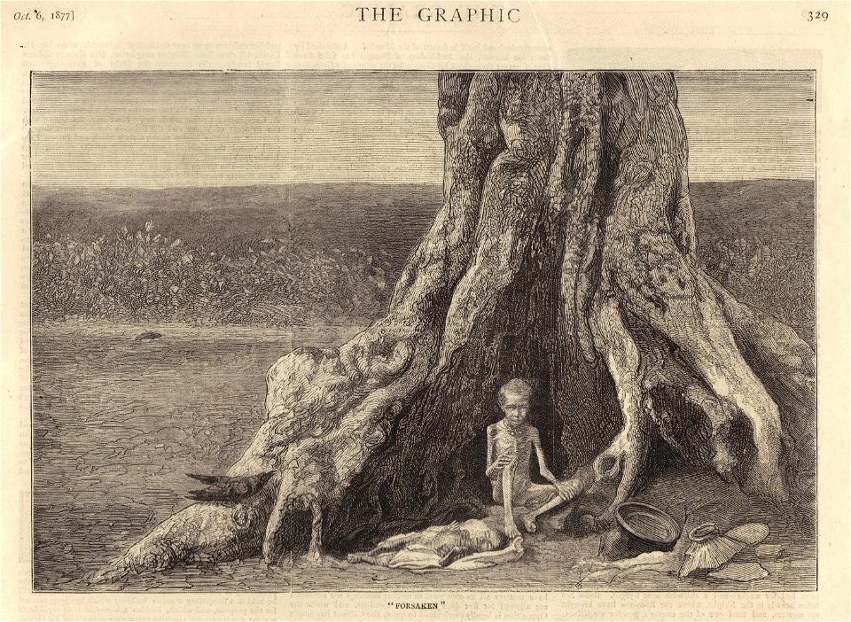 Graphic1-1877