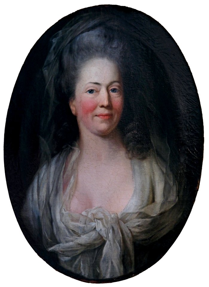 Graff Anton Gräfin Baudissin Museumsberg Flensburg Heinrich-Sauermann-Haus