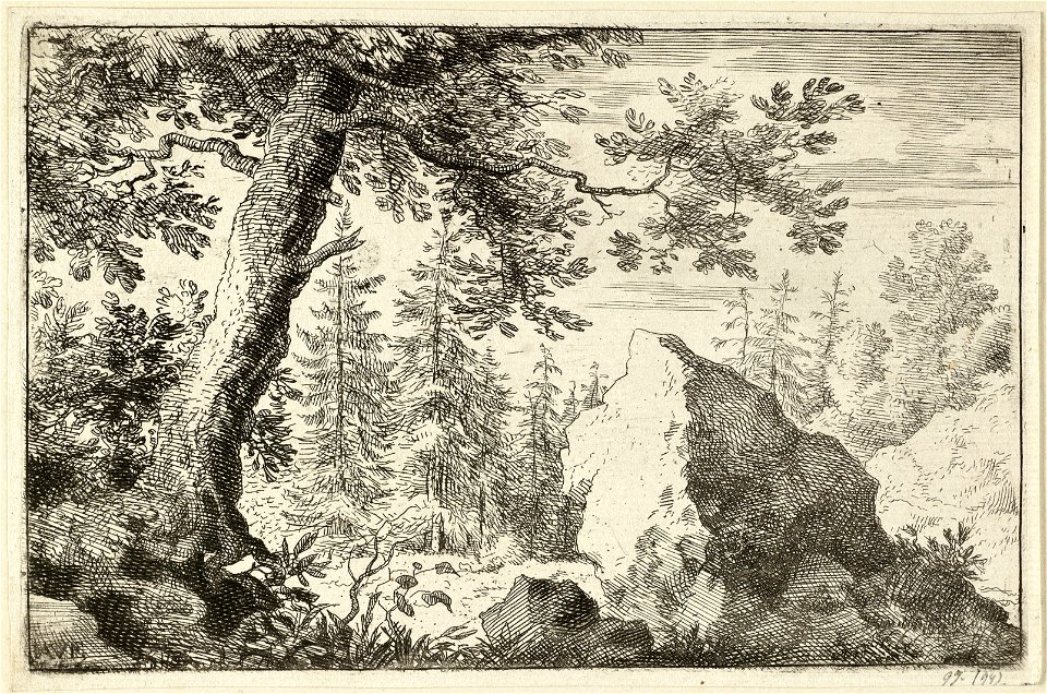 Grote kei in het woud. NL-HlmNHA 1477 53008023 K