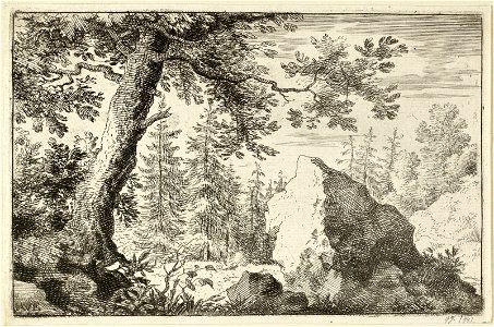 Grote kei in het woud. NL-HlmNHA 1477 53008023 K