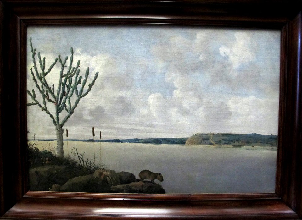 Frans post, rio san francisco e forte maurizio con un cabiai in primo piano, 1639