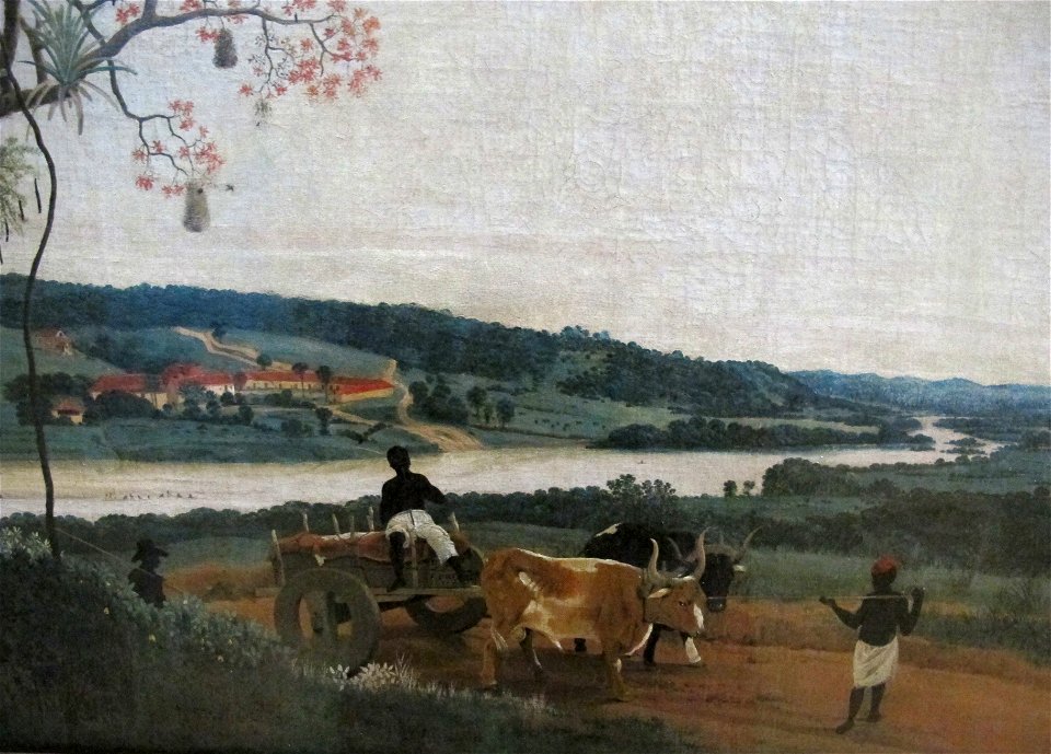 Frans post, paesaggio brasiliano con carretto e buoi, 1638, 02